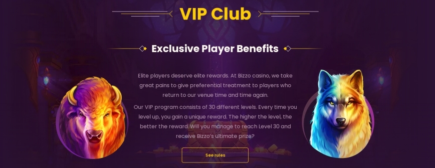 VIP Program
